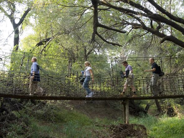 Jaci's Safari Lodge - Walking 